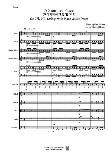 A Summer Place for_Fl, Cl, String