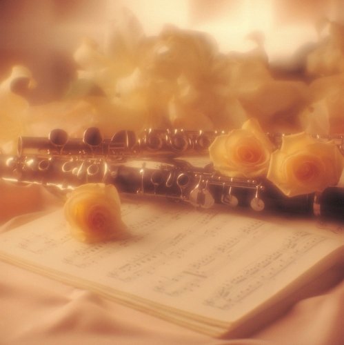 Weber Clarinet Concertino op.26