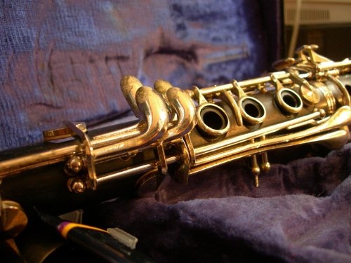 Carl Stamitz Concerto No.7, 1st mov_Solo & Clarinet Ensemble