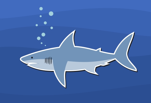 Baby Shark(아기 상어)_Cl Quintet