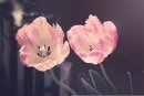 최근 본 상품 2018