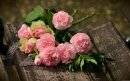 최근 본 상품 2019